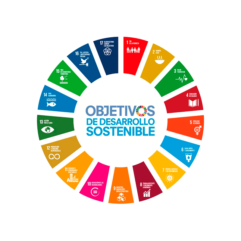 ODS circulo